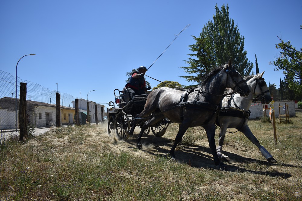 Primera Fase del Campeonato Navarro de Enganches Obstáculos